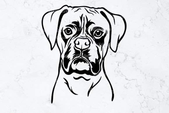 Download Boxer SVG Silhouette Outline Clipart - Silhouette outline Collection