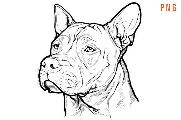 Download Pitbull Silhouette Outline Head - Silhouette outline Collection
